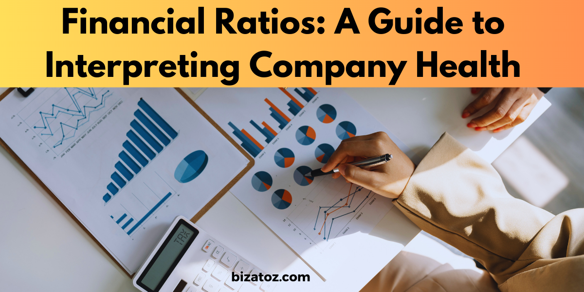 Financial_Ratios_Analysis_BizAtoZ_Feature